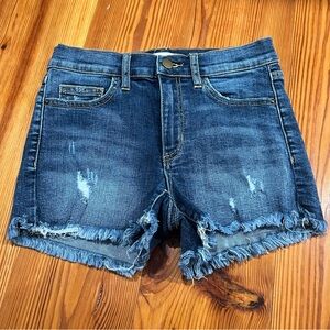 Alterd State jean shorts